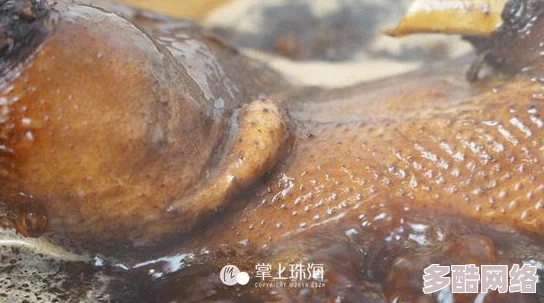一刀传世火法师角色该选择哪个法宝以提升战斗力详解