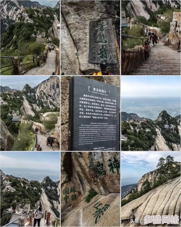 长安十二时辰不退意志预约开启，分享专属预约链接抢先看精彩