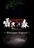 2024高人气魂like游戏排行榜推荐：必玩的十大经典魂like游戏有哪些？