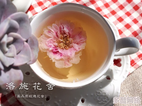 单身男女观看免费完整版：最新动态与观影体验分享，带你领略不一样的爱情故事与人生感悟！